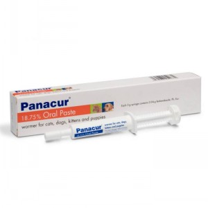 Panacur 18.75 Cat/dog Paste